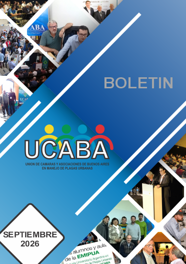 Boletín
