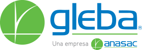 Gleba